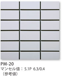PM-20